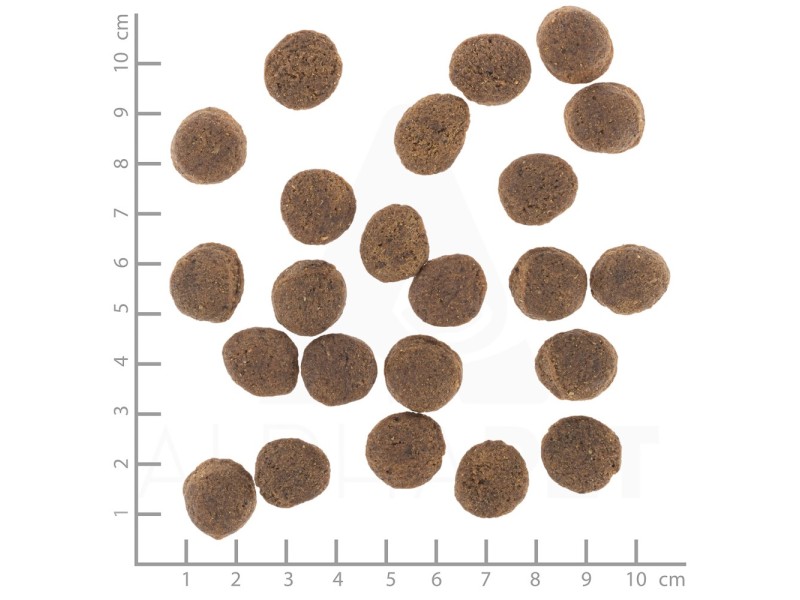 WOLFSBLUT VetLine Gastrointestinal Duck - dry dog food - 12kg