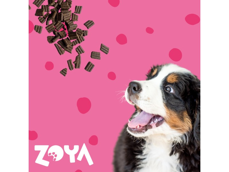 ZOYA ColdPRO Beef - dry dog food - 1kg