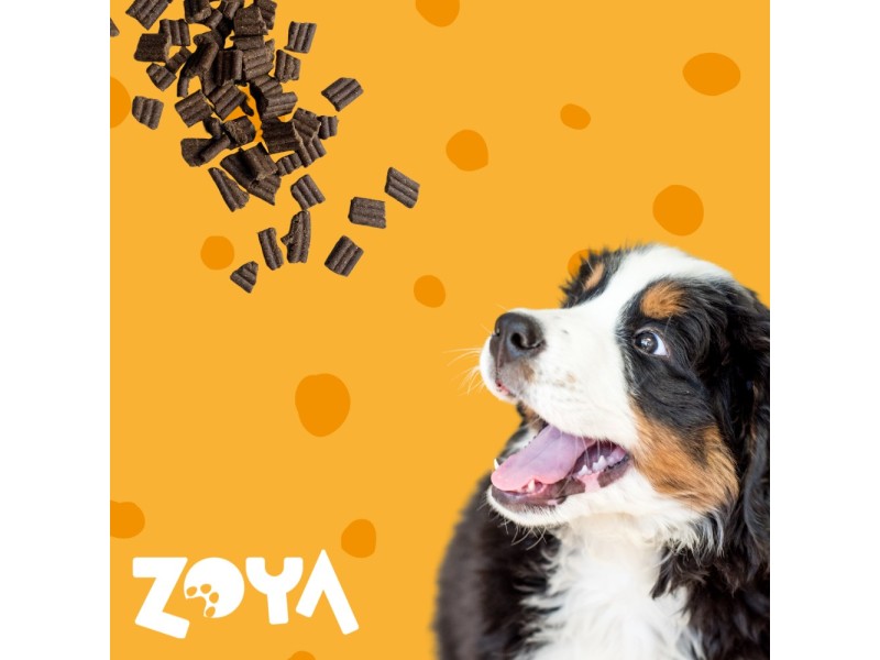 ZOYA ColdPRO Lamb - dry dog food - 3kg