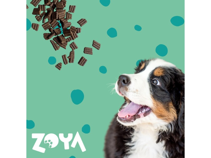 ZOYA ColdPRO Deer - dry dog food - 9kg