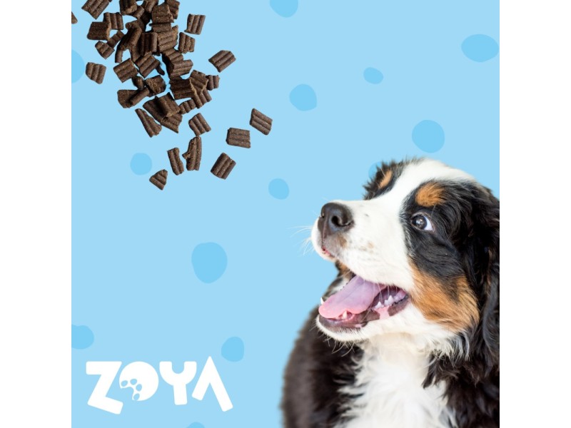 ZOYA ColdPRO Duck - dry dog food - 9kg