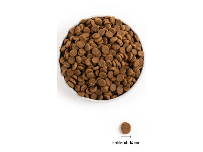 ACANA Senior Dog - dry dog food - 2kg