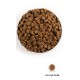 ACANA Senior Dog - dry dog food - 2kg