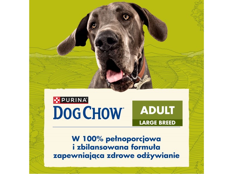 Purina DOG CHOW Large Breed Adult 14 kg Turkey