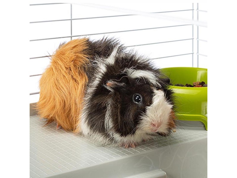 FERPLAST Casita 80 - cage for guinea pig and rabbit