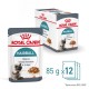 ROYAL CANIN FCN Hairball Care chunks in gravy - wet cat food - 12x85 g