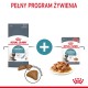 ROYAL CANIN FCN Hairball Care chunks in gravy - wet cat food - 12x85 g