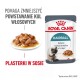 ROYAL CANIN FCN Hairball Care chunks in gravy - wet cat food - 12x85 g