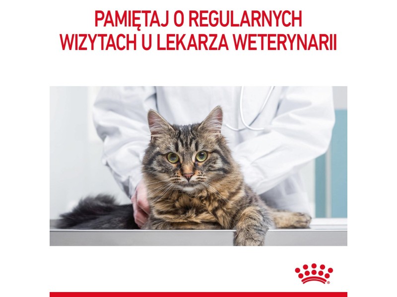 ROYAL CANIN FCN Hairball Care chunks in gravy - wet cat food - 12x85 g