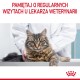 ROYAL CANIN FCN Hairball Care chunks in gravy - wet cat food - 12x85 g