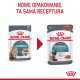 ROYAL CANIN FCN Hairball Care chunks in gravy - wet cat food - 12x85 g