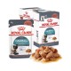 ROYAL CANIN FCN Hairball Care chunks in gravy - wet cat food - 12x85 g