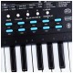 MQ 605 UFB - keyboard with microphone for learning to play, designed for children