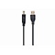 Gembird CCP-USB2-AMBM-10 USB cable 3.04 m USB A USB B Black