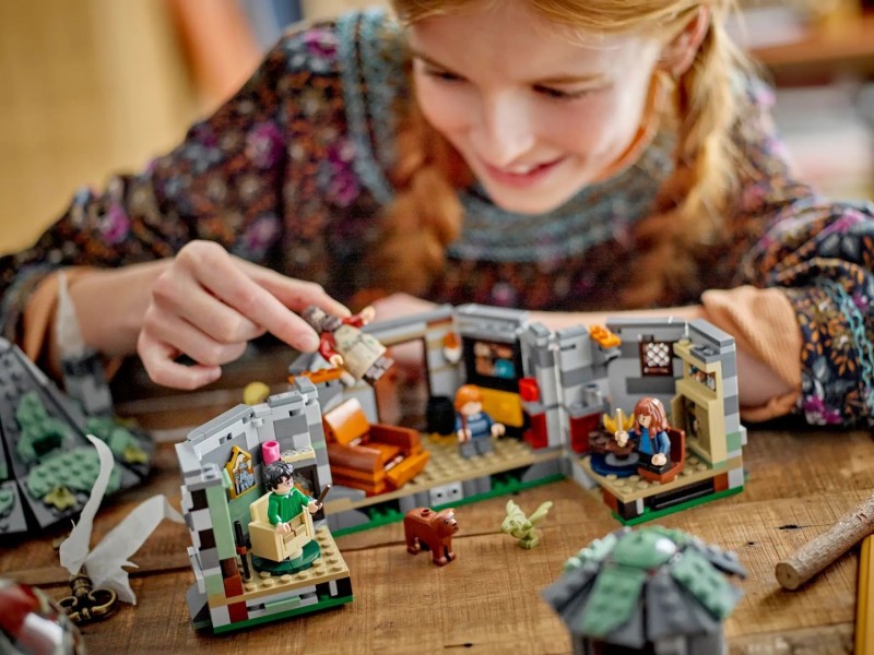 LEGO HARRY POTTER 76428 Hagrid's Hut - An Unexpected Visit