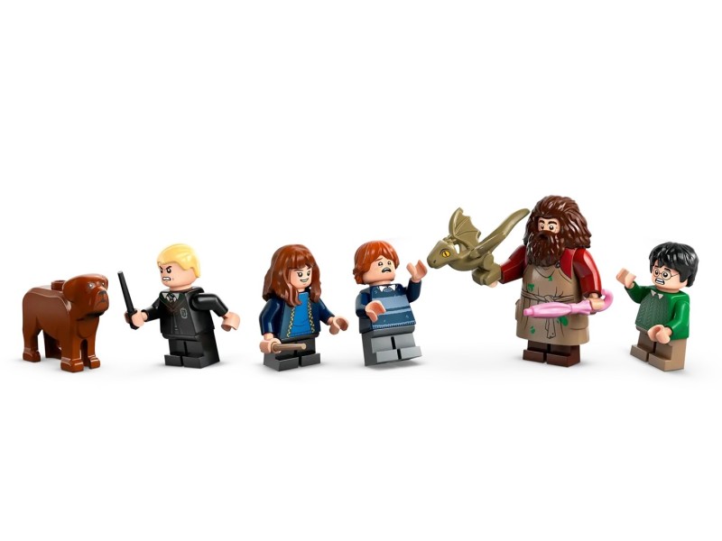 LEGO HARRY POTTER 76428 Hagrid's Hut - An Unexpected Visit
