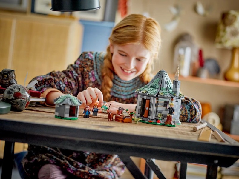 LEGO HARRY POTTER 76428 Hagrid's Hut - An Unexpected Visit