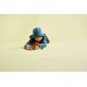 LEGO JURASSIC WORLD 76970 Baby Dinosaur Dolores Aquilops