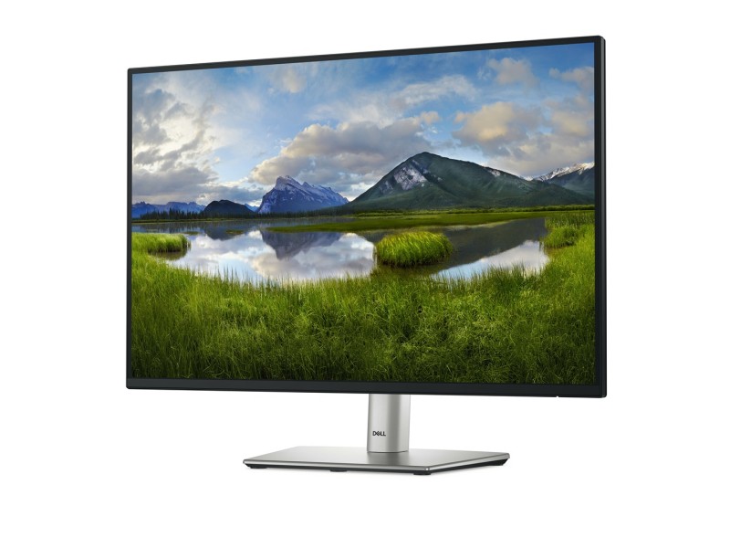 DELL P Series P2425E computer monitor 61.1 cm (24.1 DELL P Series P2425E computer monitor 61.1 cm (24.1