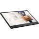 MSI PRO MP161 E2U portable TV/monitor Portable monitor Black 39.6 cm (15.6