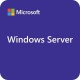 Microsoft Windows Server 2025 Standard 1 license(s)