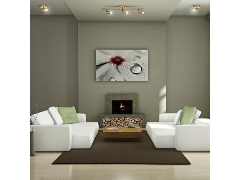 Activejet SPECTRA triple gold ceiling wall lamp strip spotlight GU10 for living room