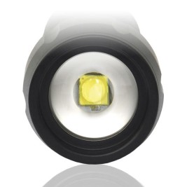 LED flashlight  everActive FL-300+