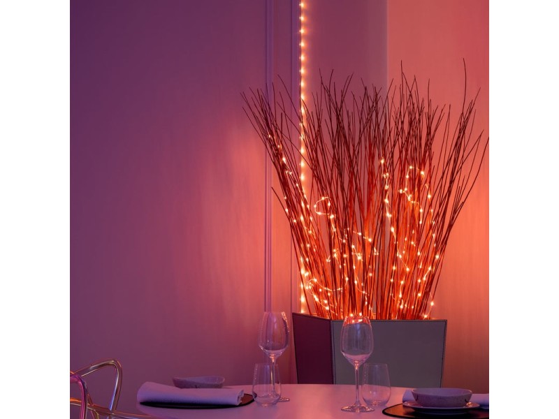 Twinkly Dots Multicolour
