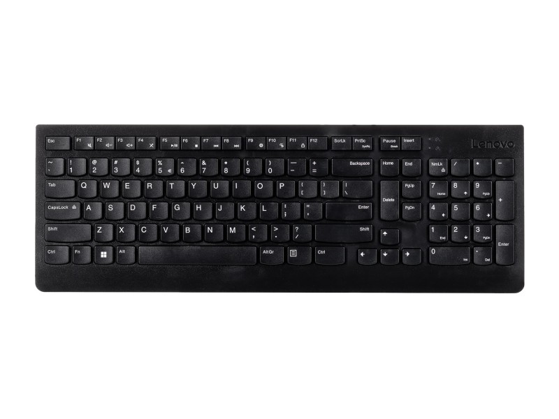 Lenovo Essential keyboard Universal USB QWERTY US English Black
