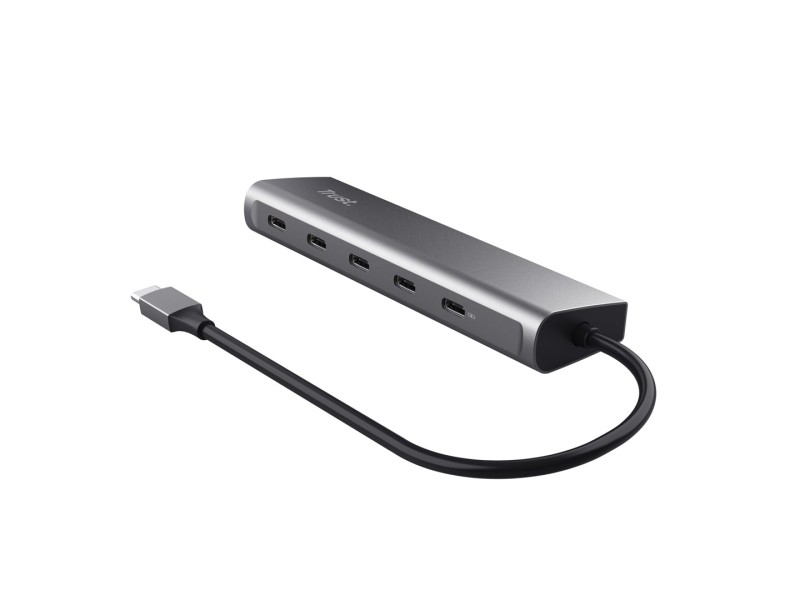 Trust Halyx USB 3.2 Gen 1 (3.1 Gen 1) Type-C Silver