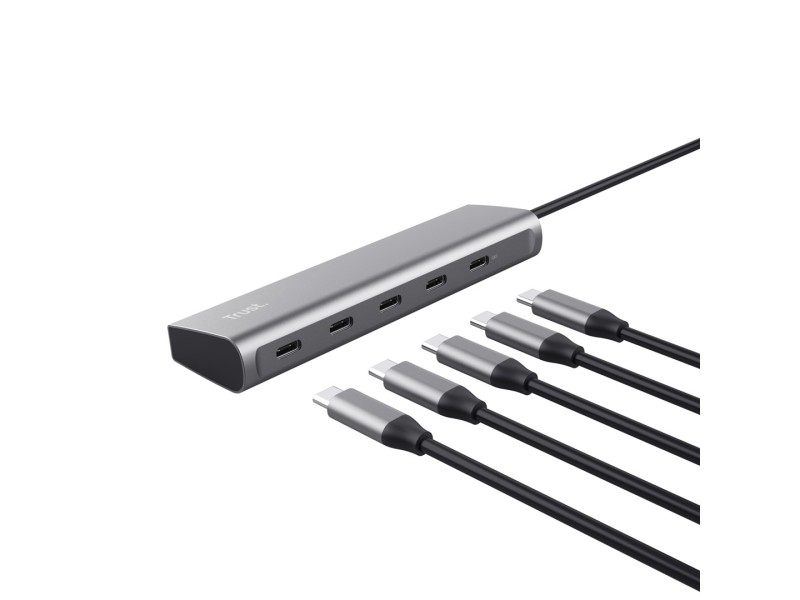 Trust Halyx USB 3.2 Gen 1 (3.1 Gen 1) Type-C Silver