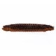 Parquet Brush Vileda 2in1